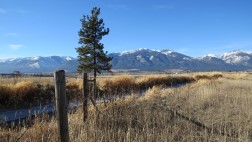 Montana start a business - Western Montana Government
