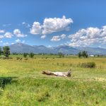 Be a Montana local! Western Montana living and The Bitterroot Valley