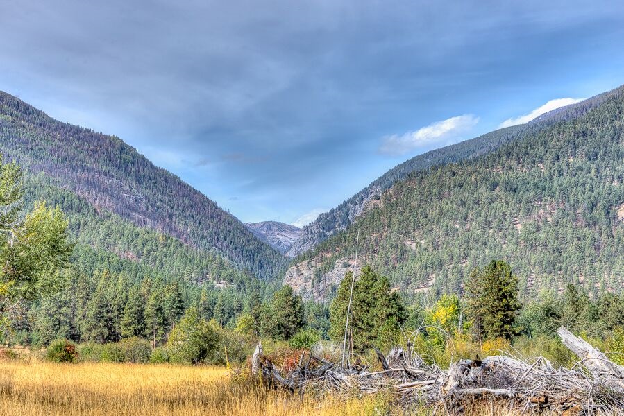 Get property now in Forest Hills Montana
