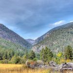 Get property now in Forest Hills Montana - Western Montana Living